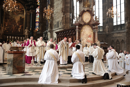Schönborn weiht fünf Neupriester