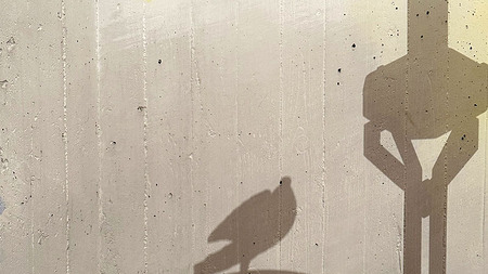 'Hoffnung Frieden' Ausstellung im Grazer Diözesanmuseum